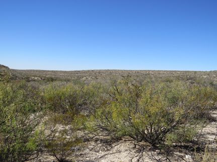 Property for sale in Terrell County, Texas