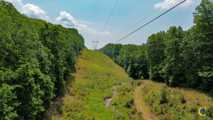 Undeveloped Land for sale in Maury County, Tennessee