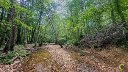 Property for sale in Benton County, Tennessee