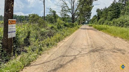 Undeveloped Land for sale in Drew County, Arkansas