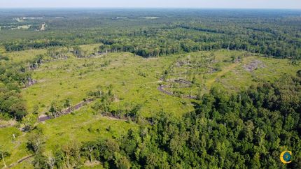 Undeveloped Land for sale in Bradley County, Arkansas