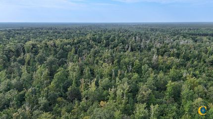 Hunting Land for sale in Ashley County, Arkansas
