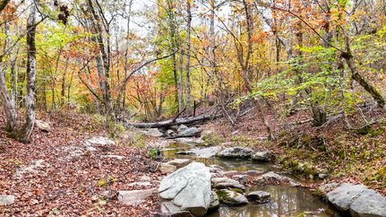 Timberland Property for sale in Laurens County, South Carolina