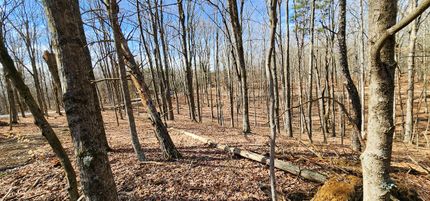 Property for sale in Meigs County, Ohio