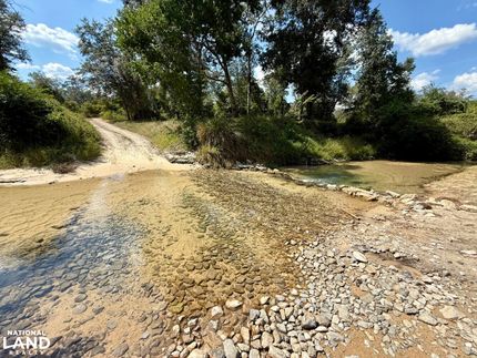 Hunting Land for sale in Baldwin County, Alabama