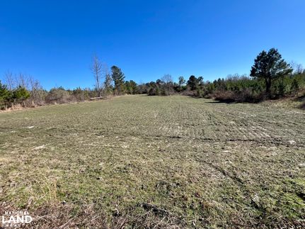 Timberland Property for sale in Choctaw County, Alabama