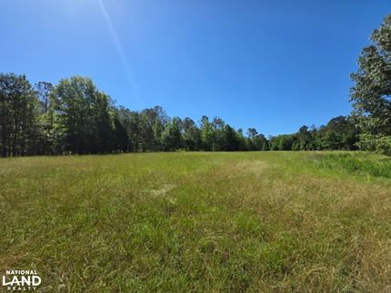 Property for sale in Marion County, Alabama