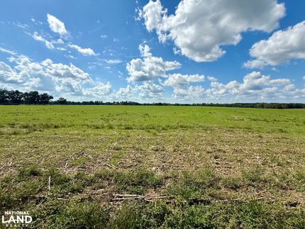 Undeveloped Land for sale in Baldwin County, Alabama