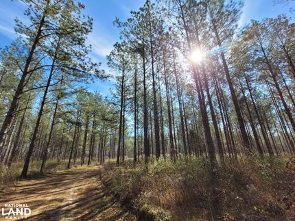 Property for sale in Lowndes County, Alabama