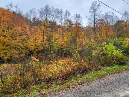 Property for sale in Campbell County, Tennessee