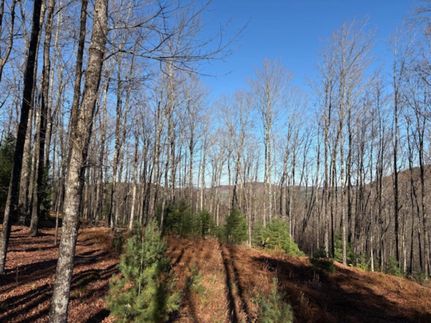 Undeveloped Land for sale in Warren County, New York