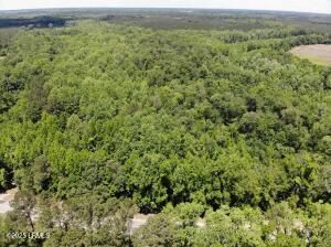 Property for sale in Bamberg County, South Carolina
