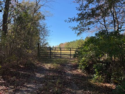 Property for sale in Florence County, South Carolina