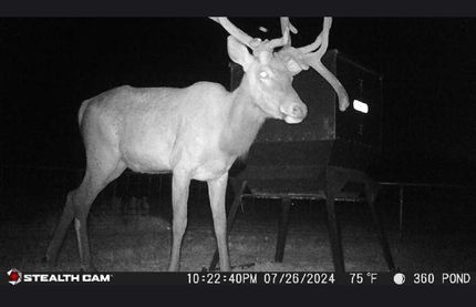 Property for sale in Pittsburg County, Oklahoma