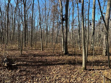 Property in Clinton County, Illinois