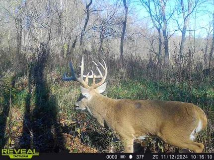 Property for sale in Effingham County, Illinois