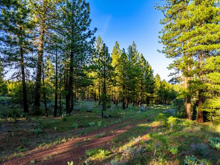 Property for sale in Modoc County, California
