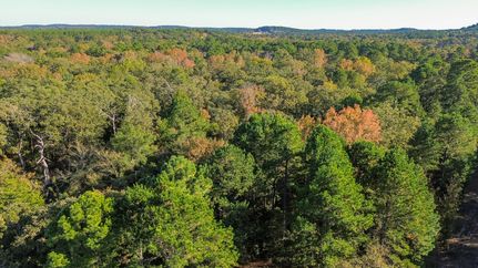 Hunting Land for sale in Henderson County, Texas
