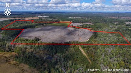 Hunting Land for sale in Pike County, Alabama