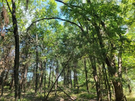 Property for sale in Lamar County, Texas