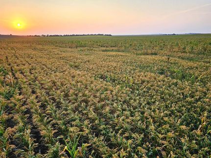 Property for sale in Cheyenne County, Nebraska