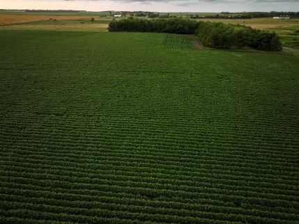 Residential Property for sale in Douglas County, South Dakota