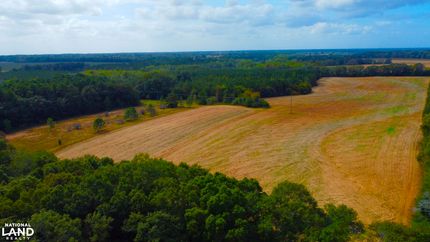 Undeveloped Land for sale in Henry County, Alabama