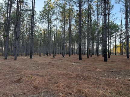 Residential Property for sale in Pike County, Alabama