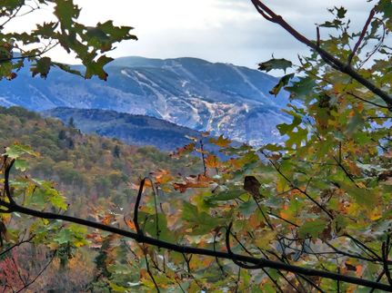 Property for sale in Oxford County, Maine