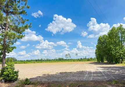 Property for sale in Marion County, South Carolina