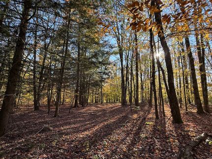 Hunting Land for sale in Oswego County, New York