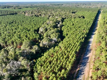 Timberland Property for sale in Wilcox County, Georgia