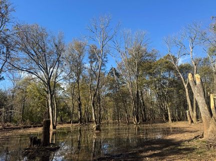 Property for sale in Jefferson County, Arkansas