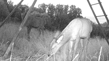 Ranch Property for sale in Edwards County, Texas