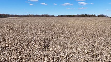 Property for sale in Hillsdale County, Michigan