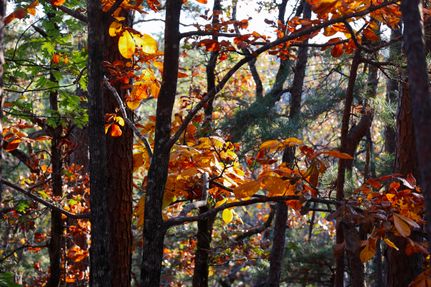 Property for sale in Le Flore County, Oklahoma