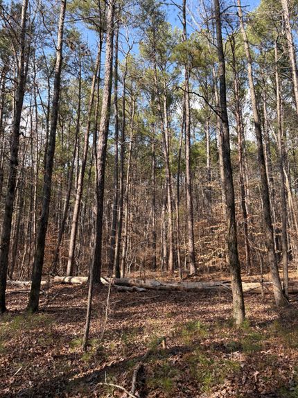 Property for sale in Jefferson County, Alabama
