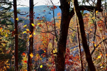 Hunting Land for sale in Le Flore County, Oklahoma