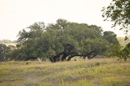 Property for sale in Fayette County, Texas