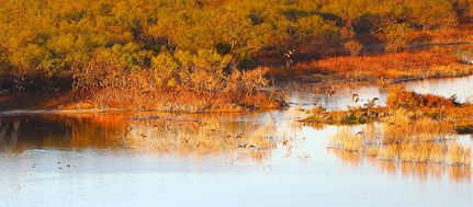 Property for sale in Concho County, Texas