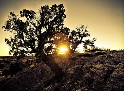 Property for sale in Apache County, Arizona