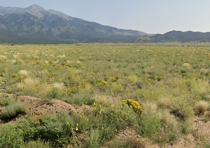 Property for sale in Costilla County, Colorado