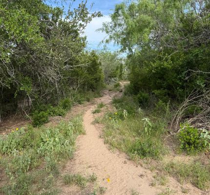 Property for sale in Live Oak County, Texas