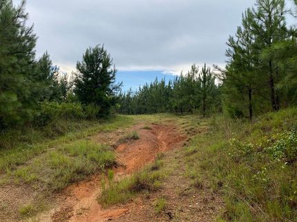 Property for sale in Washington County, Georgia