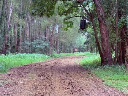 Recreational Property for sale in Adams County, Mississippi