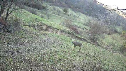 Property for sale in Grant County, Wisconsin