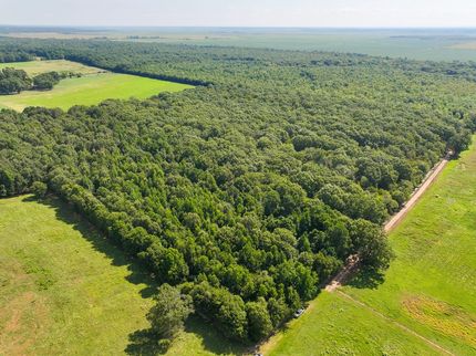 Hunting Land for sale in Miller County, Arkansas