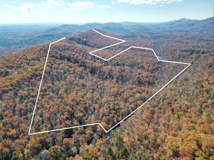 Timberland Property for sale in Nelson County, Virginia