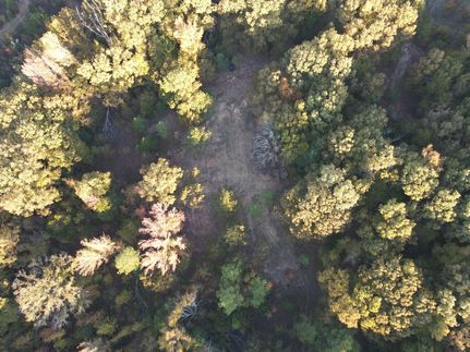 Property for sale in Panola County, Mississippi