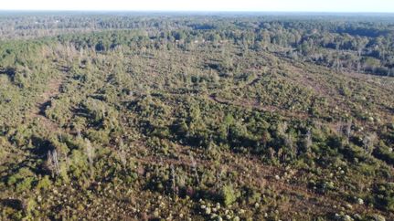 Undeveloped Land for sale in Walthall County, Mississippi